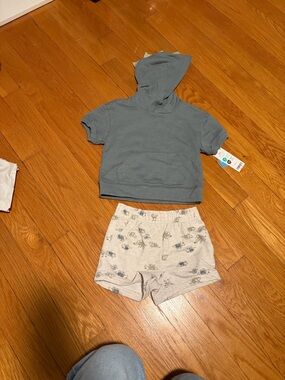 Carter's Heathered Light Blue Hoodie and Shorts Set
